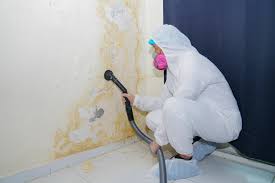 Best Mold Damage Restoration  in Woodfield, SC